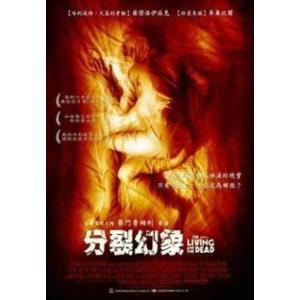 分裂幻想(2006)電影封面